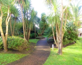 Résidence : EHPAD Ambroisie