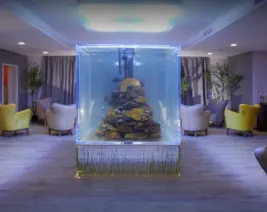 Résidence : Résidence la Canopée