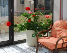 Résidence : Résidence Mansart