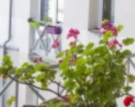 Résidence : Foyer-Logement Résidence Soleil d'Or