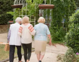 Résidence : EHPAD les Vignes