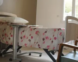 Résidence : EHPAD Résidence la Seigneurie