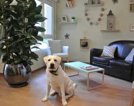 Résidence : EHPAD le Moulin Vert