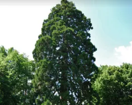 Résidence : Maison de Retraite l'Ermitage