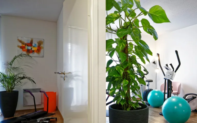 Image Résidence - 4 : Résidence Eugénie