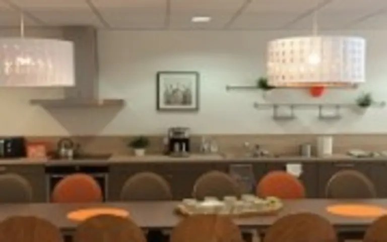 Image Résidence - 2 : EHPAD les Marronniers