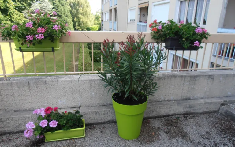 Image Résidence - 3 : Résidence les Pervenches