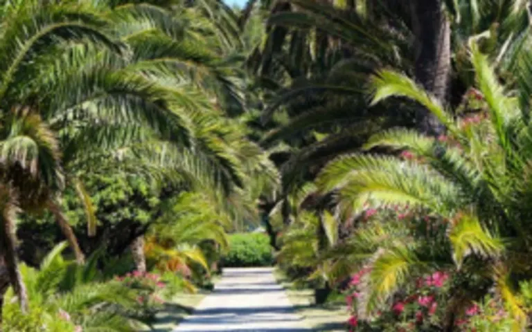 Image Résidence - 3 : La Coquette - les Templitudes