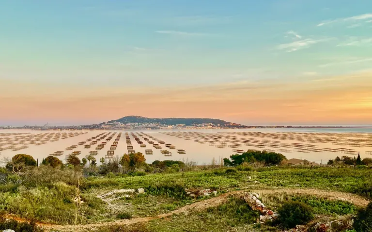 Image Résidence - 2 : Maison Marguerite de Loupian