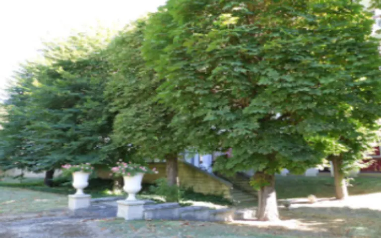 Image Résidence - 1 : Résidence Greffulhe