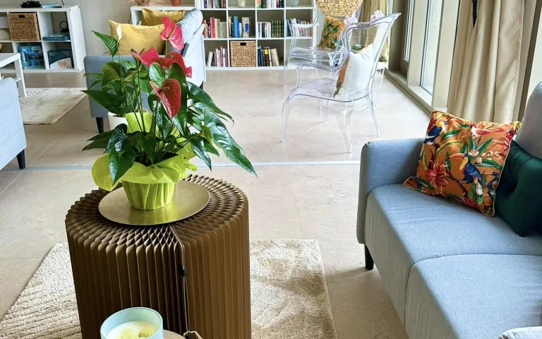 Image Résidence - 2 : Les Oliviers