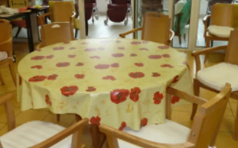 Image Résidence - 1 : EHPAD le Petit Bosquet