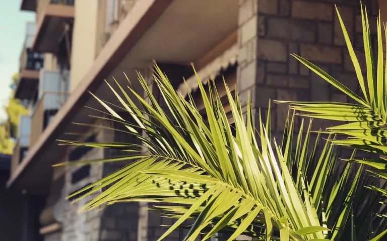 Image Résidence - 2 : Maison de Retraite la Constance