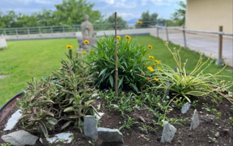 Image Résidence - 3 : EHPAD Résidence Magdala