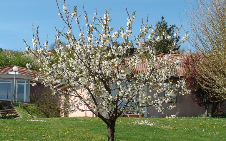 Image Résidence - 2 : La Peronniere Grand Croix