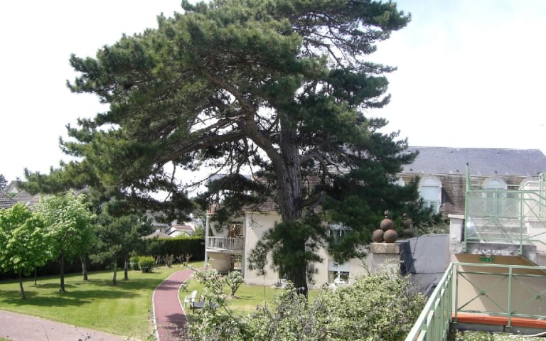 Image Résidence - 3 : EHPAD Korian Thalatta