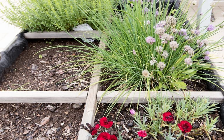 Image Résidence - 4 : EHPAD les Jardins de Jeanne