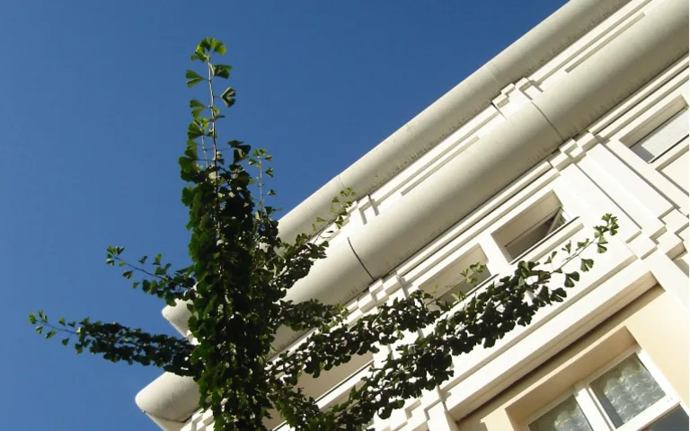 Image Résidence - 1 : Résidence le Pont Saint-Jean