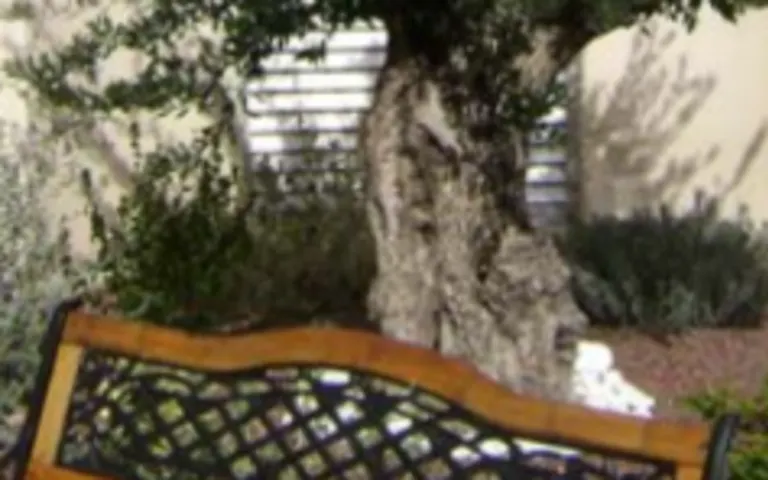 Image Résidence - 2 : EHPAD l'Ecrin des Sages