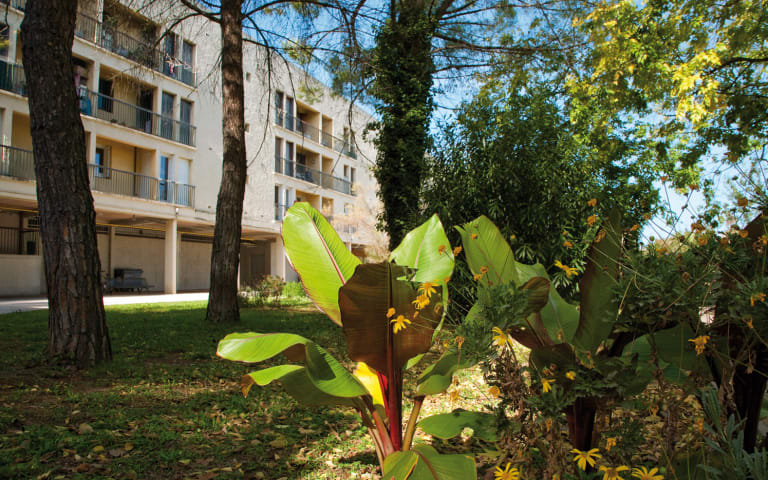 Image Résidence - 1 : EHPAD les Aubes