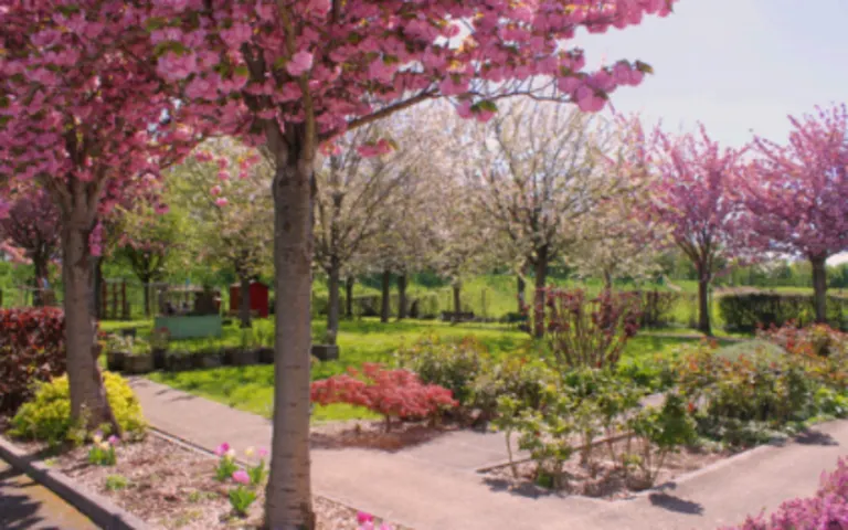 Image Résidence - 2 : EHPAD la Noë