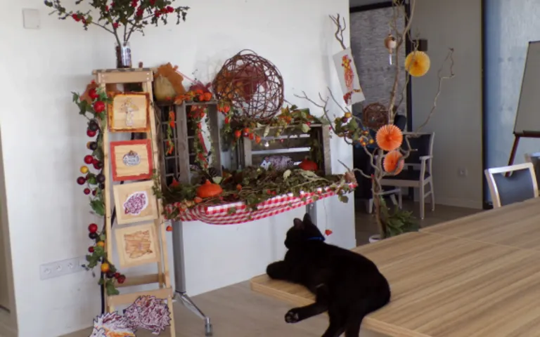 Image Résidence - 1 : EHPAD Maison de Retraite Montfort