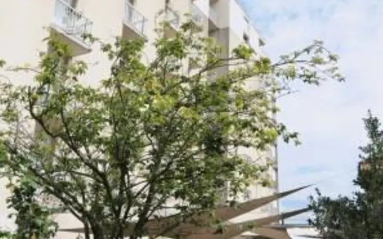 Image Résidence - 1 : Residence Clemenceau