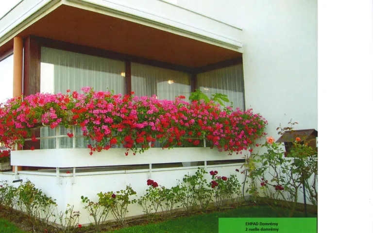 Image Résidence - 1 : Residence de Domremy