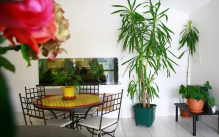 Image Résidence - 1 : Korian Jardins d'Epargnes