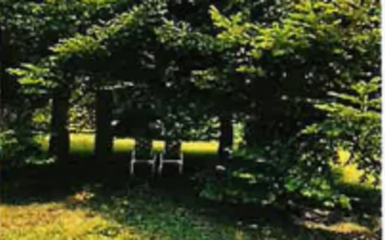 Image Résidence - 3 : EHPAD Saint-Louis-De-Longwy