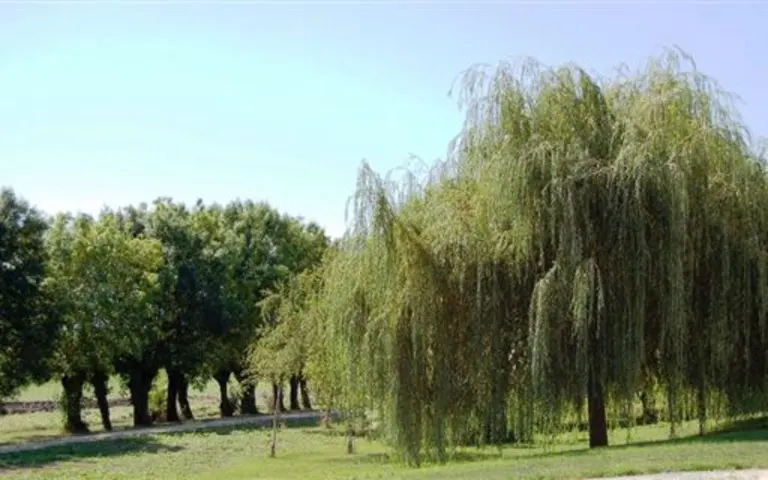 Image Résidence - 2 : Sas l'Aube