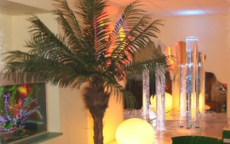 Image Résidence - 2 : EHPAD Résidence du Parc