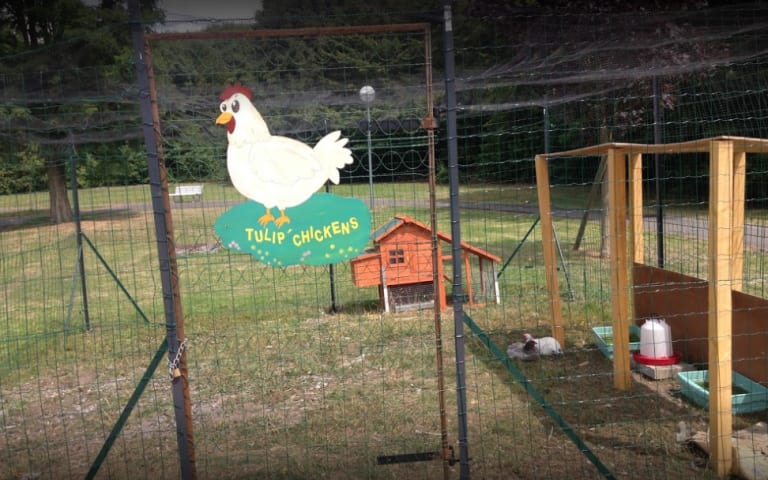 Image Résidence - 2 : EHPAD les Tulipiers