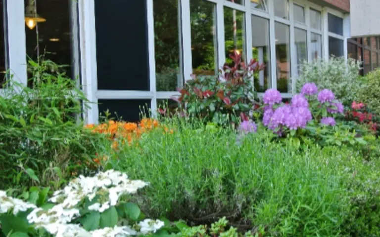 Image Résidence - 1 : EHPAD Résidence Paul-Cordonnier