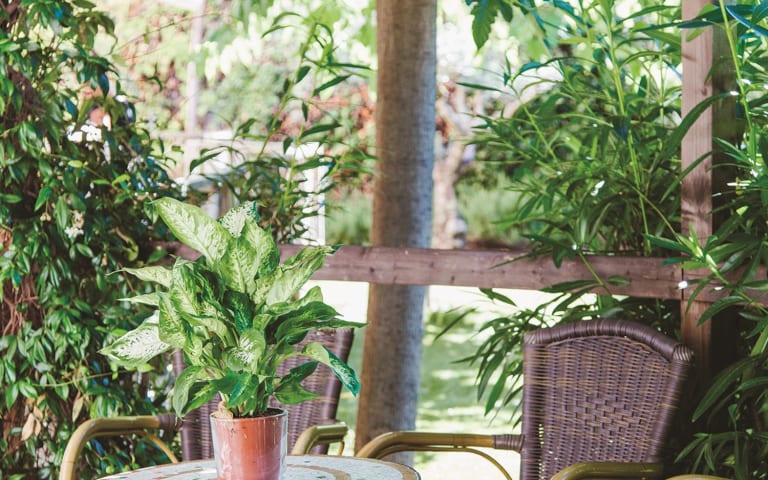 Image Résidence - 3 : EHPAD Résidence des Paillons