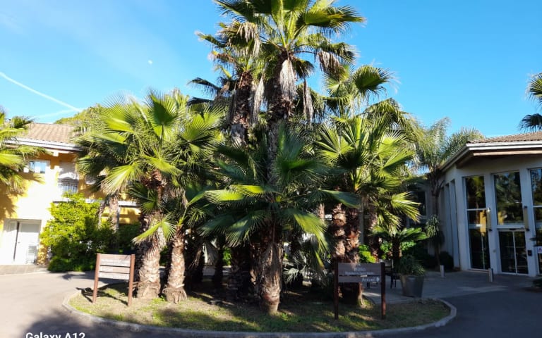 Image Résidence - 2 : EHPAD Résidence Saint-Martin