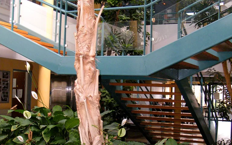 Image Résidence - 3 : EHPAD Saint-François et Saint-Romuald