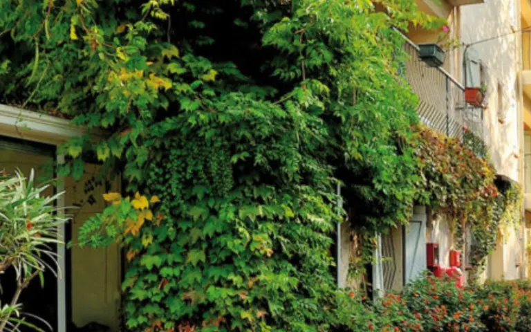 Image Résidence - 3 : EHPAD l'Angélique