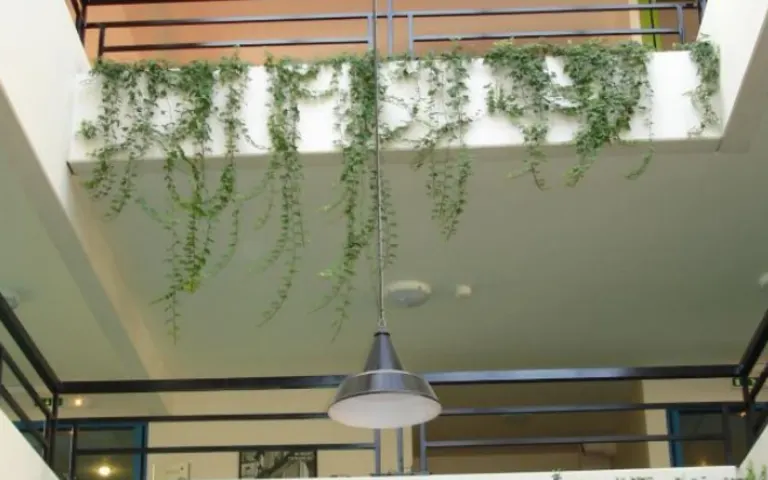 Image Résidence - 1 : Residence Saint Genest