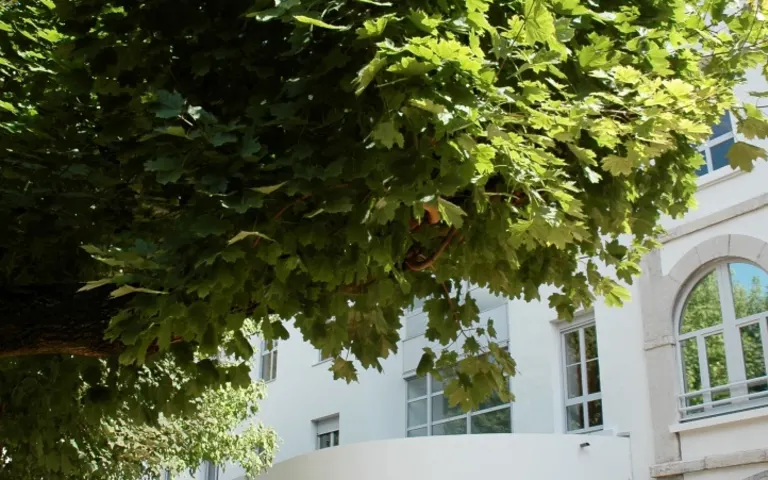 Image Résidence - 4 : EHPAD le Manoir