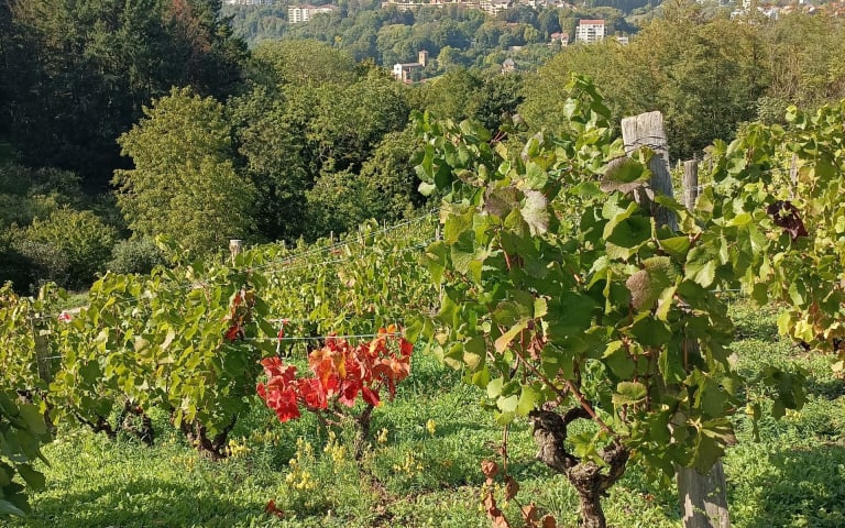 Image Résidence - 4 : Residence Val Foron