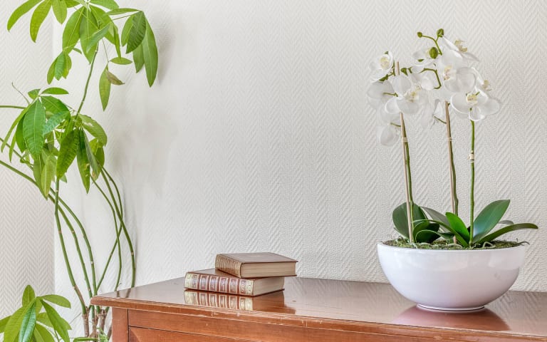 Image Résidence - 1 : Résidence Tiers Temps A Lyon