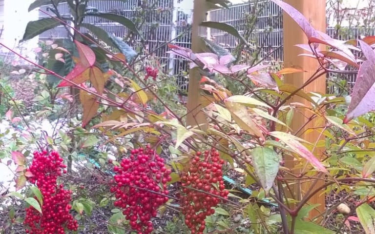 Image Résidence - 1 : Blanqui