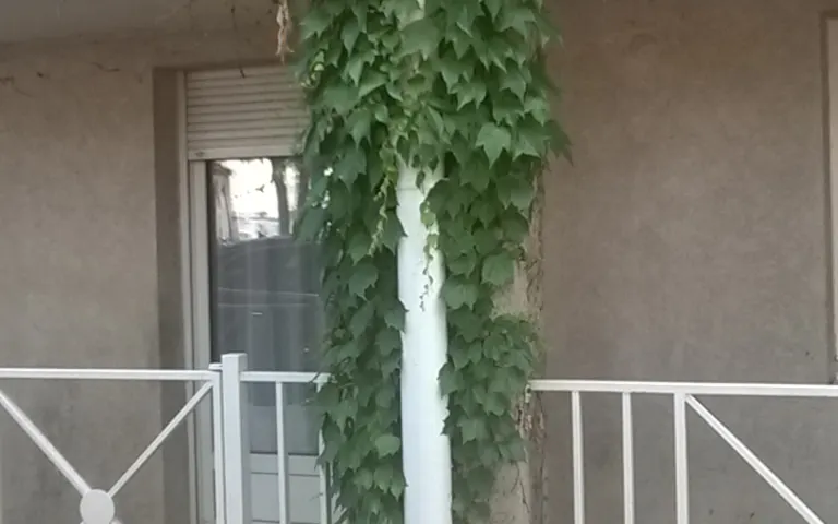 Image Résidence - 1 : Habitat Plus Rive Gauche