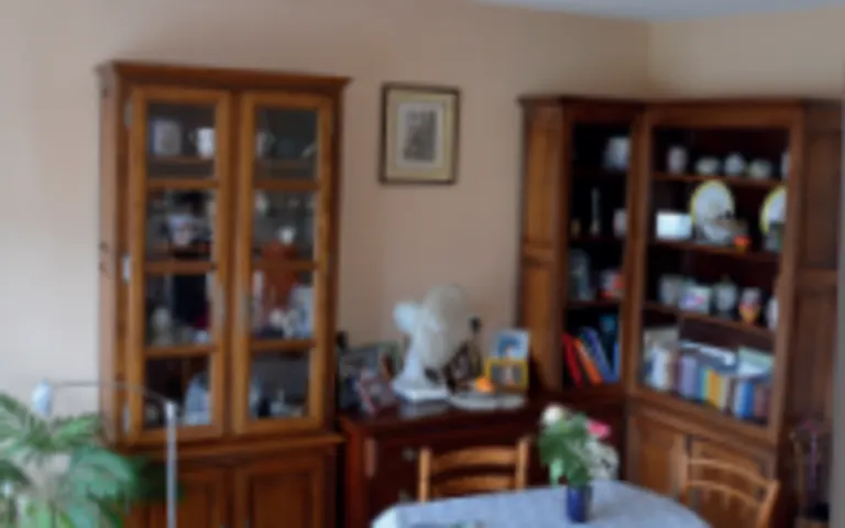 Image Résidence - 1 : EHPAD la Vigerie