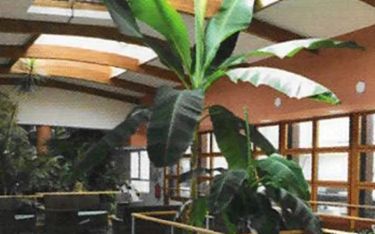 Image Résidence - 2 : Residence Viasenior Via Monestir