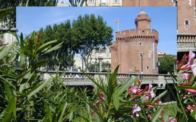 Image Résidence - 3 : EHPAD Villa Saint-François