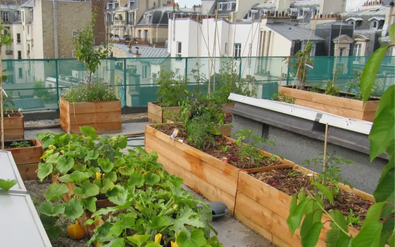 Image Résidence - 4 : EHPAD du Centre Robert Doisneau