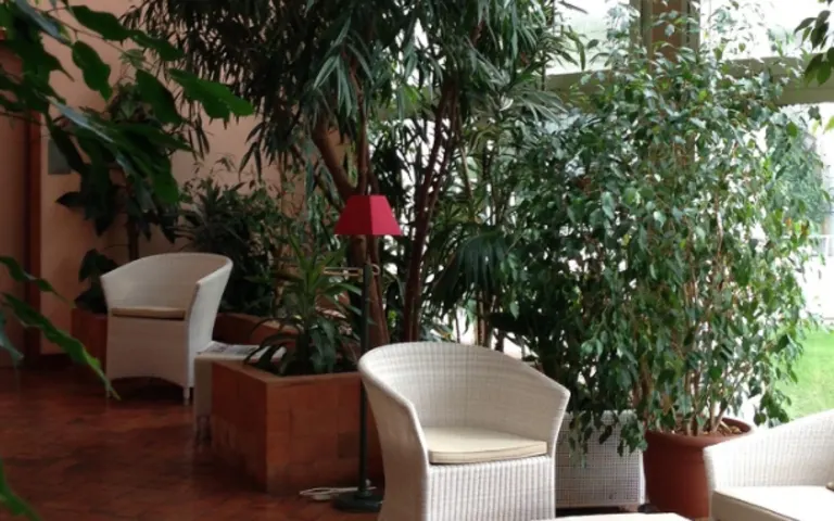 Image Résidence - 3 : Les Symphoniales