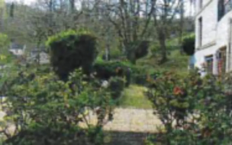 Image Résidence - 2 : EHPAD la Roche Libère